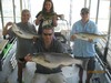 (07/04/2014) - Nice Striped Bass
